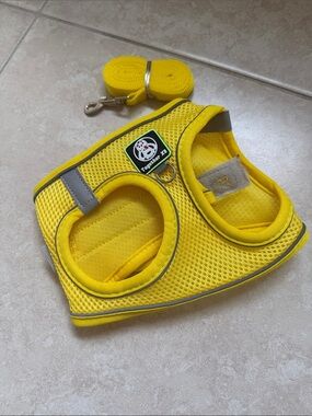 Yellow Mesh Pet Harness with Matching Leash